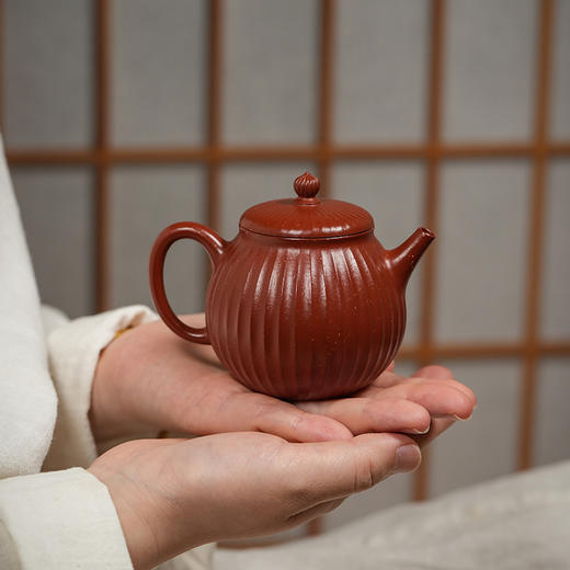 龙德堂陶艺 汤宣武制 《悟能》 190cc 原矿大红袍 (库存请咨询客服) 商品图0