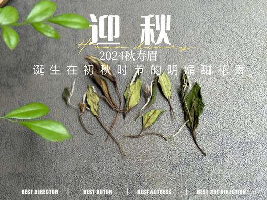 【2024秋茶来了】2024迎秋，甜花香太浓郁了，太香甜了，汤水比往年更加稠滑（1斤收藏装） 商品图3