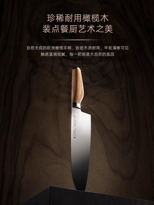 【6F】WMF  德国原装进口Grand Wood刀具6件套 商品图4
