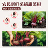 纯红甜菜根粉汁矿物质膳食纤维机天然冲饮代餐粉 商品缩略图1