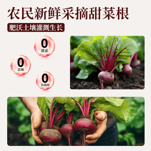 纯红甜菜根粉汁矿物质膳食纤维机天然冲饮代餐粉 商品图1