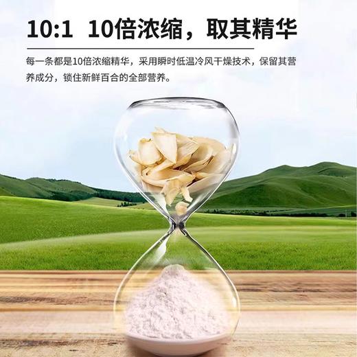 金洲百合精萃粉 精选兰州百合 配料干净 无额外添加 75g/盒（5g*15条） 商品图4