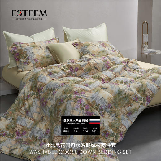 杜比尼花园可水洗鹅绒被两件套 商品图1