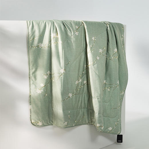 17309-HBXW-057 BOSS 印花轻柔被 商品图1