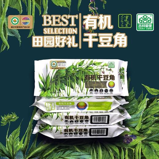 【秒杀】有机干豆角55g/袋*4 商品图0