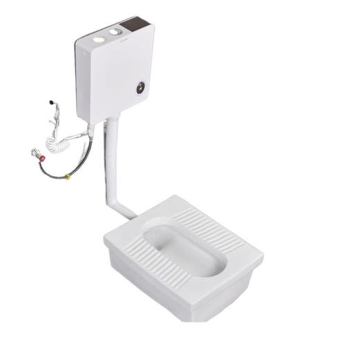 器免不磊台明装蹲坑马桶陶瓷便器蹲改一体家用便卫生间挖坑整套蹲 商品图0