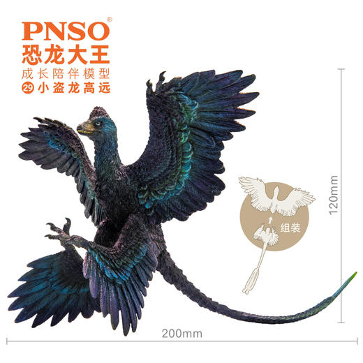 PNSO小盗龙高远恐龙大王成长陪伴模型29 商品图2