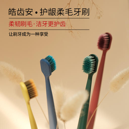 皓齿安植物洁牙粉、护龈柔毛牙刷 商品图3