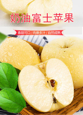 【一寸阳光】山东黄金奶油富士苹果