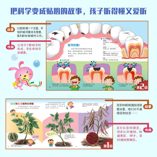 【培养爱提问·爱思考的科学脑】《小火箭科学分级阅读》 全40册+8册游戏书 小牛顿权威出品 赠1500分钟音频+720分钟视频 商品图5