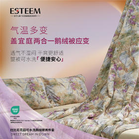 杜比尼花园可水洗鹅绒被两件套