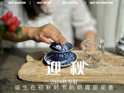 【2024秋茶来了】2024迎秋，甜花香太浓郁了，太香甜了，汤水比往年更加稠滑（1斤收藏装） 商品图6