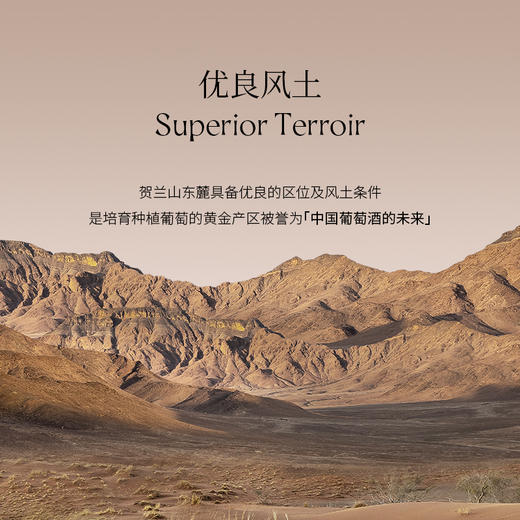 玉鸽单一园黑比诺干红葡萄酒 商品图6