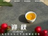 【2024秋茶来了】2024迎秋，甜花香太浓郁了，太香甜了，汤水比往年更加稠滑（1斤收藏装） 商品缩略图11