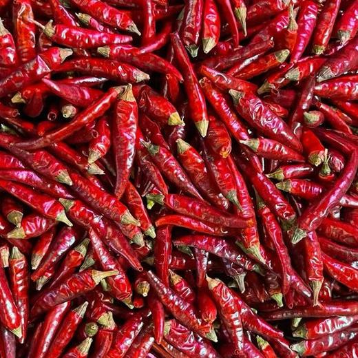 贵州柴火木姜子糊辣椒 商品图5