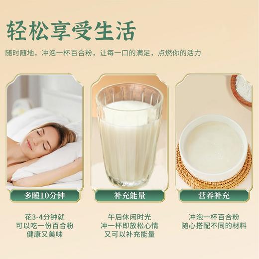 金洲百合精萃粉 精选兰州百合 配料干净 无额外添加 75g/盒（5g*15条） 商品图7