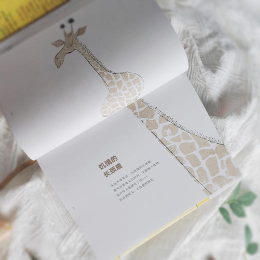 【奇想国】《天真好奇皆成诗》：献给淘气孩子和可爱大人的逗趣诗集 商品图2