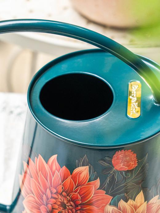 Berry&Bird不锈钢长嘴浇水壶（知更鸟/小雏菊/大丽花/百合/玉兰少女） 商品图3