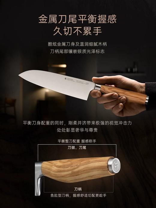 【6F】WMF  德国原装进口Grand Wood刀具6件套 商品图5