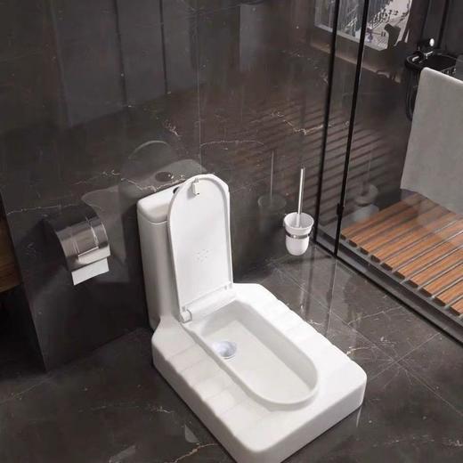 一体免蹲坑便器蹲厕家用蹲陶瓷防臭免砌改坐便器马桶挖坑台式明装 商品图0
