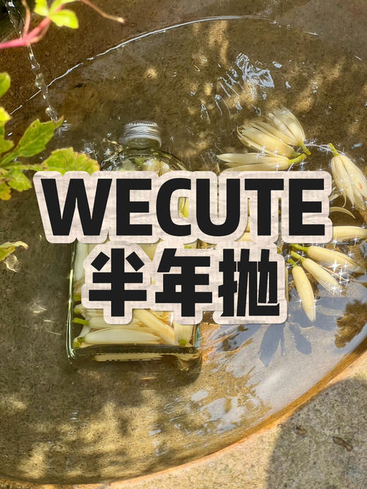 「性价比专区」WECUTE 非离子材质 88一副 128两副 168三副⭐河南仓发货 商品图0