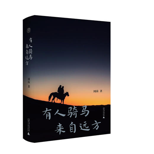 【毛边本】纯粹· 有人骑马来自远方   周涛/著 商品图0