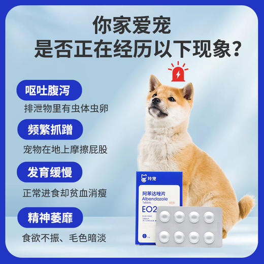 玲宠阿苯达唑片宠物用兽用正品小狗打虫专用驱虫药狗狗体内驱虫 商品图3