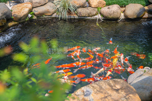 漳州慢姑娘归莳轰趴馆 商品图11