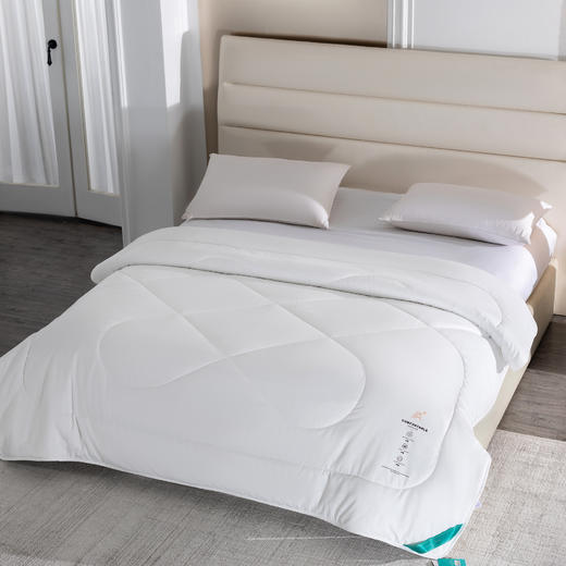 16401-MXW-020 馨亭抗菌纤维被 商品图1