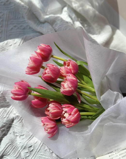 【国产郁金香】草莓松饼 约10枝/扎 商品图1