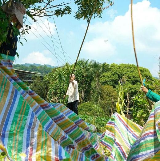【桂花红茶，桂花黄茶】以鲜桂花和蒙顶红茶黄茶窖制，桂花芬芳馥郁清雅而生蜜香，非遗传承人魏老师私房茶，既不失茶的真味又带浓郁桂花香气，香甜倍增。 商品图12