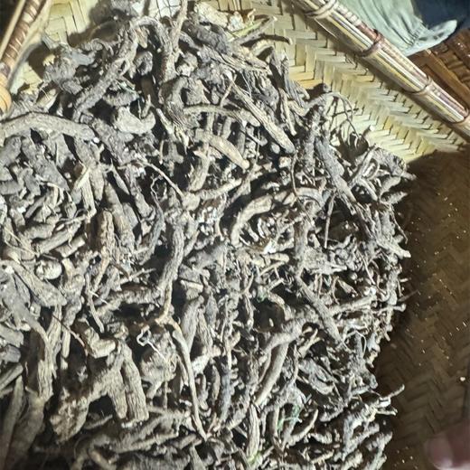 西藏林芝野生小当归 商品图2