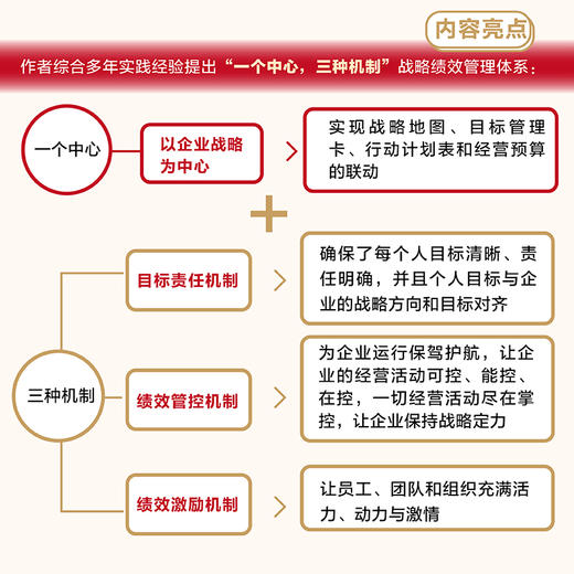 从战略解码到绩效落地 企业战略制定与绩效落地实用指南  解码战略 找到客户 提高个人及团队整体业绩 战略管理人力资源管理 商品图4