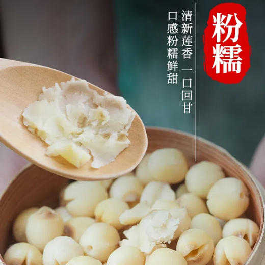 广昌特产【莲花姐姐】鲜莲子 粉糯易煮 液氮锁鲜 冷链冰鲜到家 商品图2