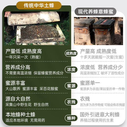 璞匠中华农家土蜂蜜深山百花蜂蜜云南老巢木桶蜂蜜结晶蜜非洋槐蜜 商品图4