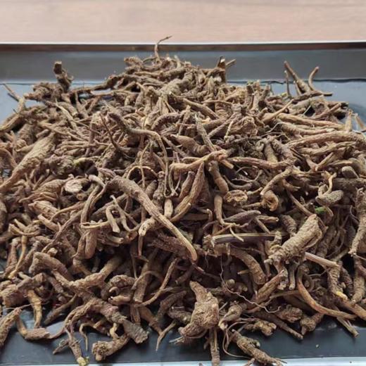 西藏林芝野生小当归 商品图4