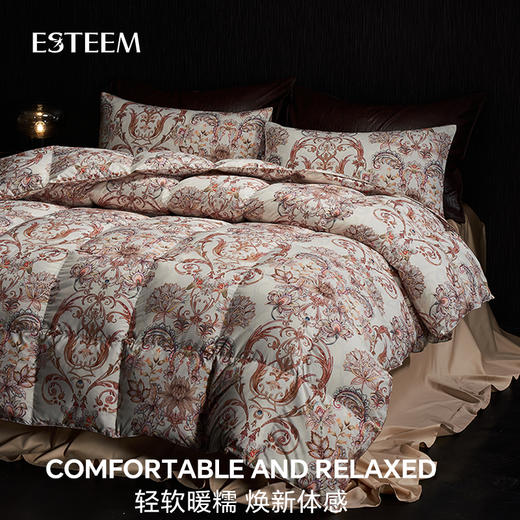 卢瓦河畔大白鹅加厚冬被 商品图4