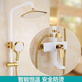 喷头欧式浴室卫生间家用淋浴器全铜体洗澡花洒色套装淋浴白金沐浴
