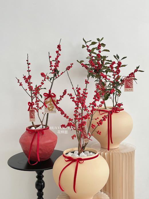 [ 一路长红 ] 冬青盆栽 商品图1