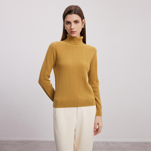 【高领绞花羊绒衫】羊绒世家秋冬女士新品100%山羊绒绞花保暖毛衣 商品图2