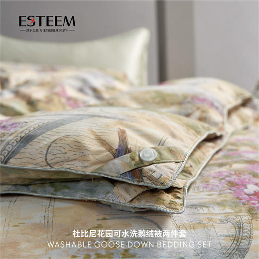 杜比尼花园可水洗鹅绒被两件套 商品图3