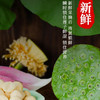 广昌特产【莲花姐姐】鲜莲子 粉糯易煮 液氮锁鲜 冷链冰鲜到家 商品缩略图1