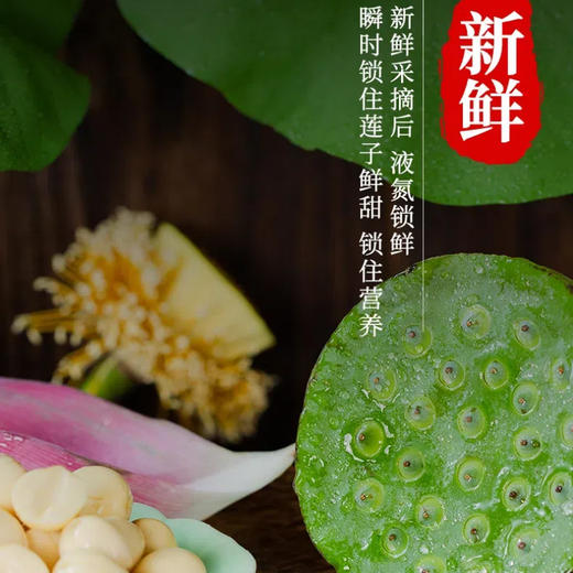 广昌特产【莲花姐姐】鲜莲子 粉糯易煮 液氮锁鲜 冷链冰鲜到家 商品图1
