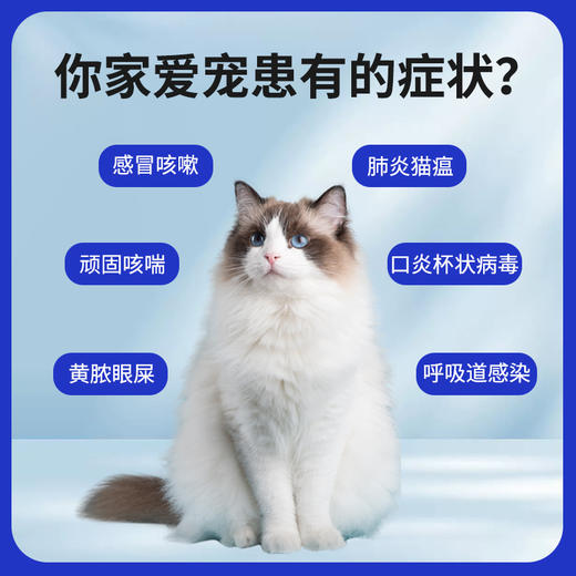 玲宠犬猫药盐酸多西环素片狗狗鼻支宠物咳嗽药猫咪感冒药犬窝咳 商品图1