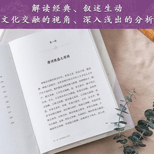 唐诗二十讲|苏辙后人、才女苏雪林你领略大唐三百年的辉煌与风采 商品图2