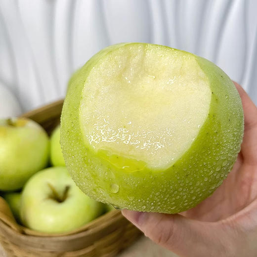 【一寸阳光】明月青苹果 商品图3