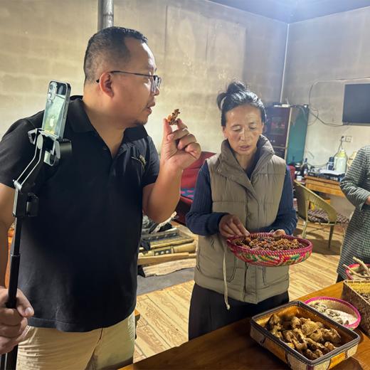 西藏林芝野生小当归 商品图6