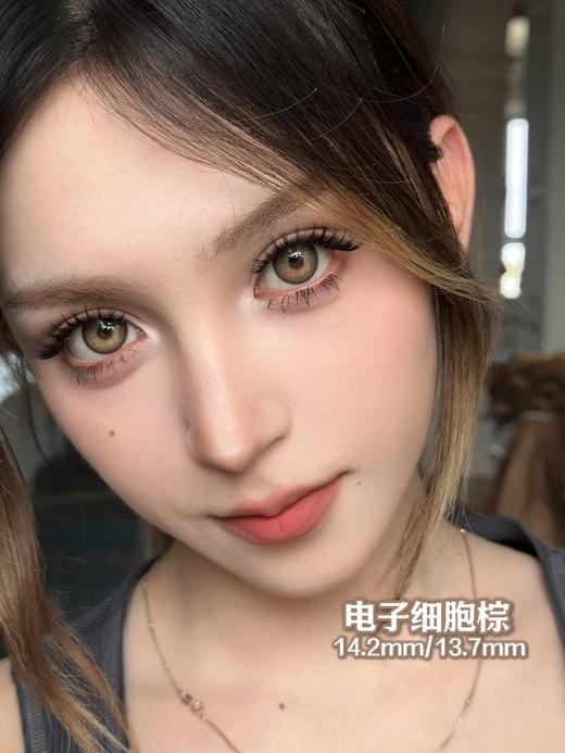 Serltyca 半年抛 电子细胞棕 直径14.2mm着色13.7mm 商品图0