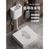 便弯明装存水蹲坑台式便厕蹲蹲带改便器蹲便免防臭台蹲挖坑免坐砌 商品缩略图0