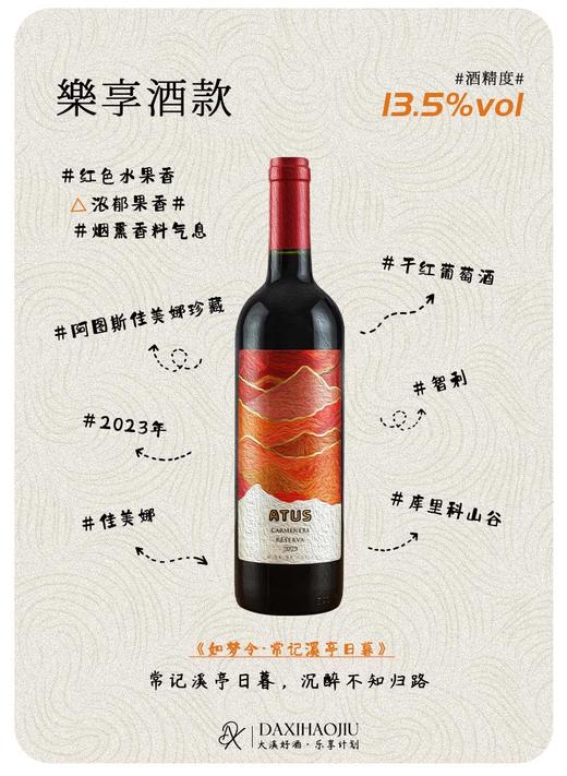 智利-阿图斯佳美娜 商品图1